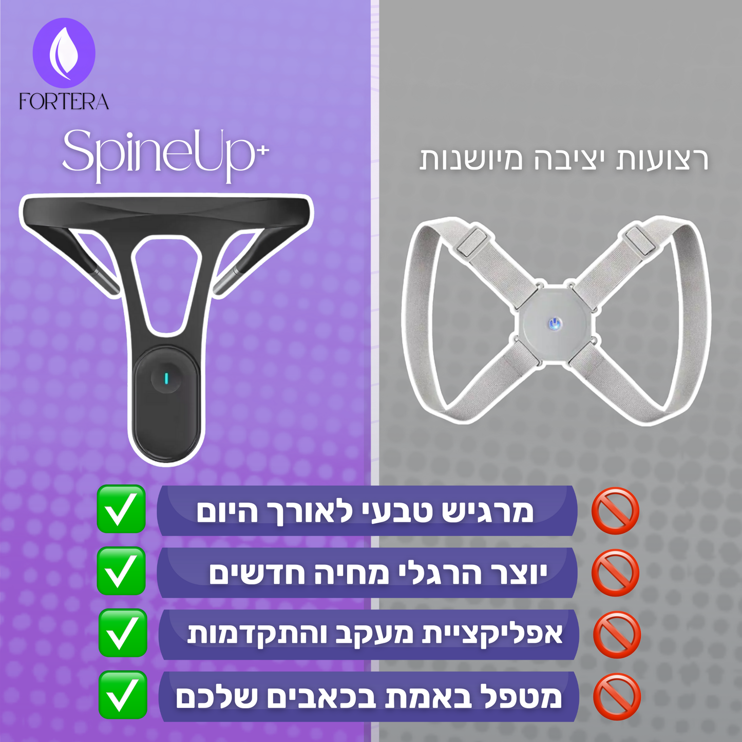 SpineUp+