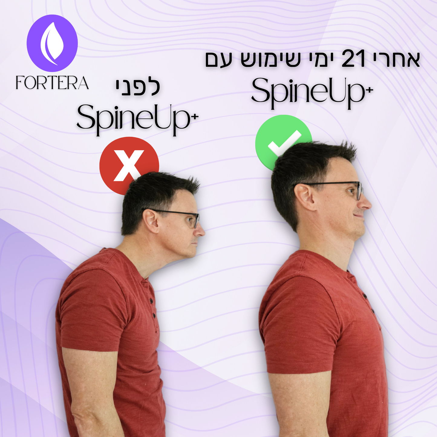 SpineUp+